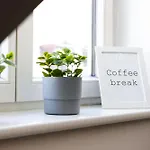 Lu16 Four - Geraeumig, Stilvoll & Zentral, 10 Min Zur Altstadt - Bema 아파트 *